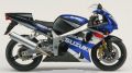 GSX-R 1000 (01-02)